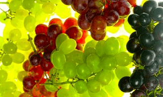 toitumisalane korrektsioon veenilaiendite korral